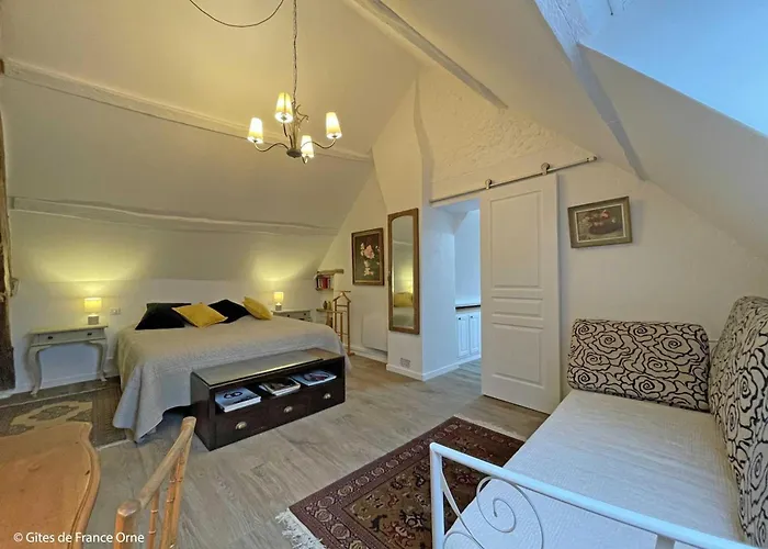 Renovee, Animaux Acceptes, Wifi - Fr-1-497-195 *